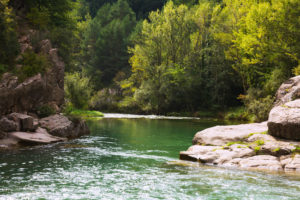 Pyrénées Catalanes lancent une plateforme autour du tourisme durable